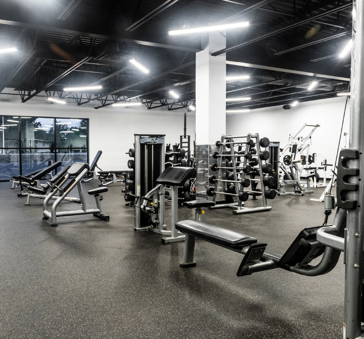 Cardio, Cable & Iron